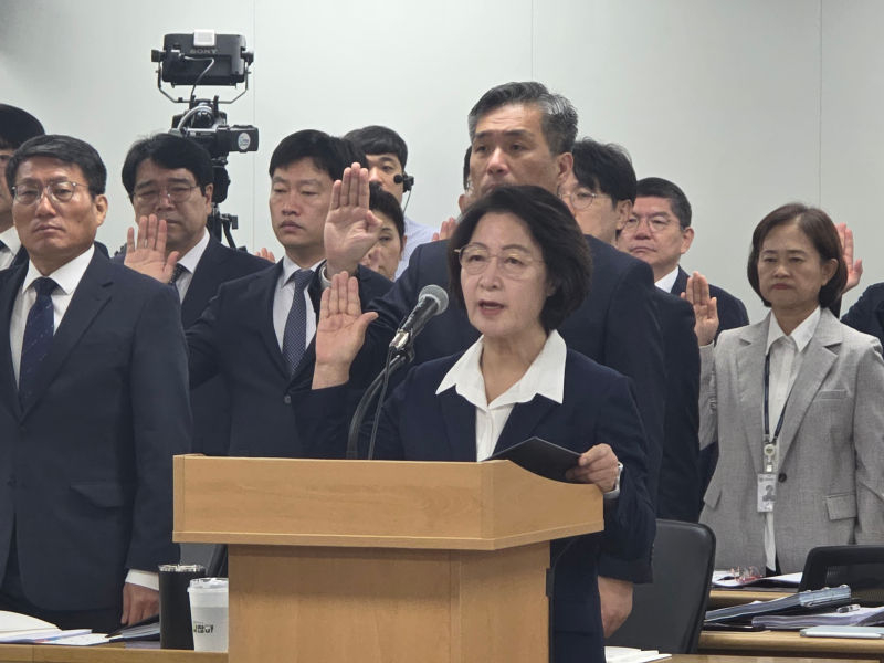 추미애 경기도지사가 도청에서 열린 국회 행정안전위원회 국정감사에서 선서를 하고 있다./사진=이민호기자