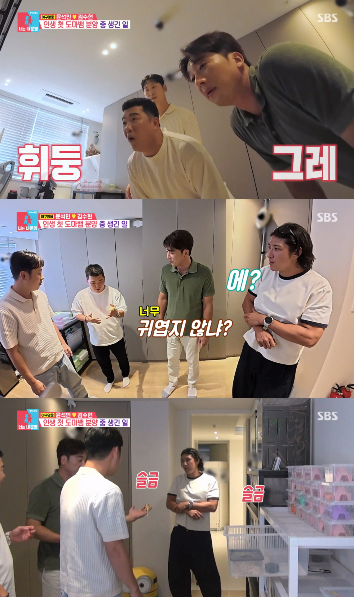 윤석민의 도마뱀을 구경하는 정근우, 이택근과 무서워하는 황재균. /사진=SBS '동상이몽 2 - 너는 내 운명' 캡처