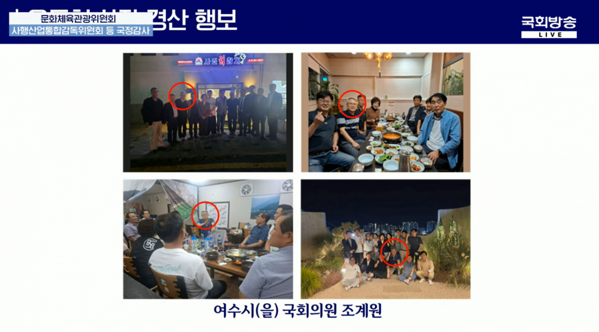 문화체육관광위원회 국정감사에서 조계원 더불어민주당 의원 질의화면 /사진제공=국회방송