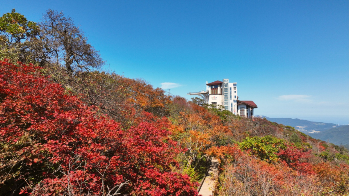 지난 2일 강원도 평창군 대관령면 발왕산에 울긋불긋 오색의 단풍이 곱게 물들어가고 있다. / 사진 = 뉴시스(독자제공) /사진=이덕화
