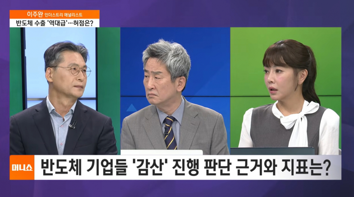 지난 8일 반도체 주가 거품론을 주장하며 비관적인 전망을 내놓은 전문가의 인터뷰 영상이 뒤늦게 주목받고 있다/사진=SBS Biz '머니쇼' 갈무리
