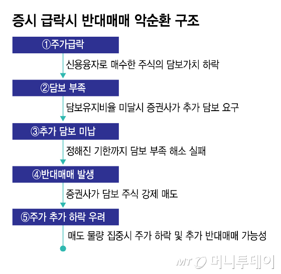 증시 급락시 반대매매 악순환 구조/그래픽=김지영
