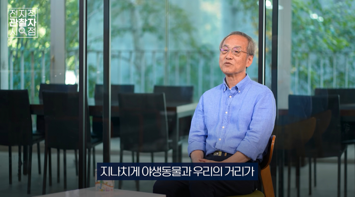 최재천 이화여대 석좌교수가 흑상어 '부캉이'의 출현을 단순한 구경거리가 아닌 기후변화의 경고 신호로 바라봐야 한다고 지적했다./사진=유튜브 채널 '최재천의 아마존' 화면 갈무리.