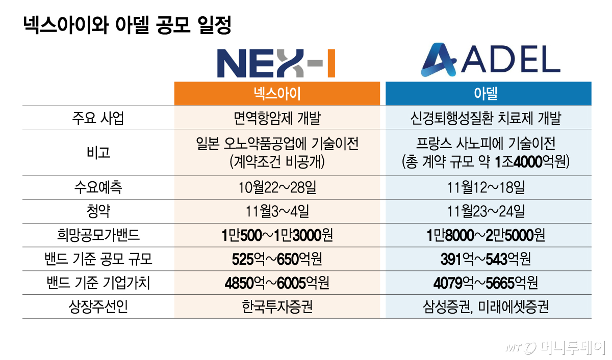 넥스아이와 아델 공모 일정/그래픽=김지영