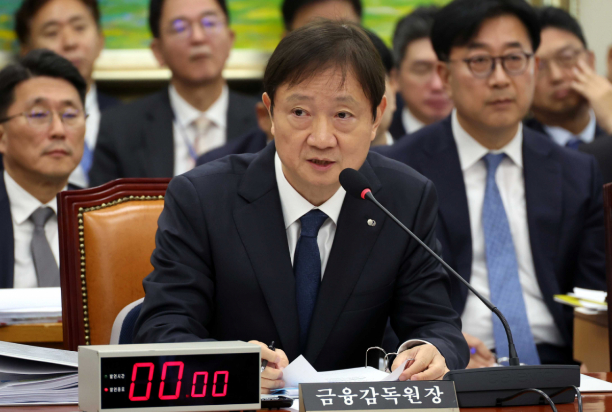 이찬진 금융감독원장이 지난해 10월27일 오전 서울 여의도 국회 정무위원회에서 열린 국정감사에서 의원 질의에 답변하고 있다. /사진=뉴시스