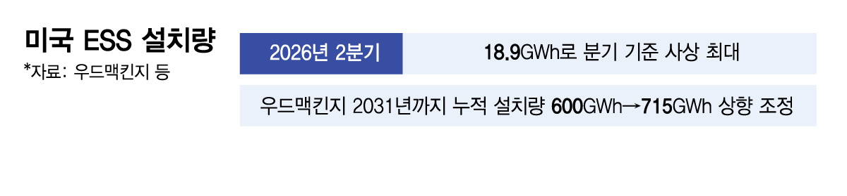 미국 ESS 설치량/그래픽=김다나