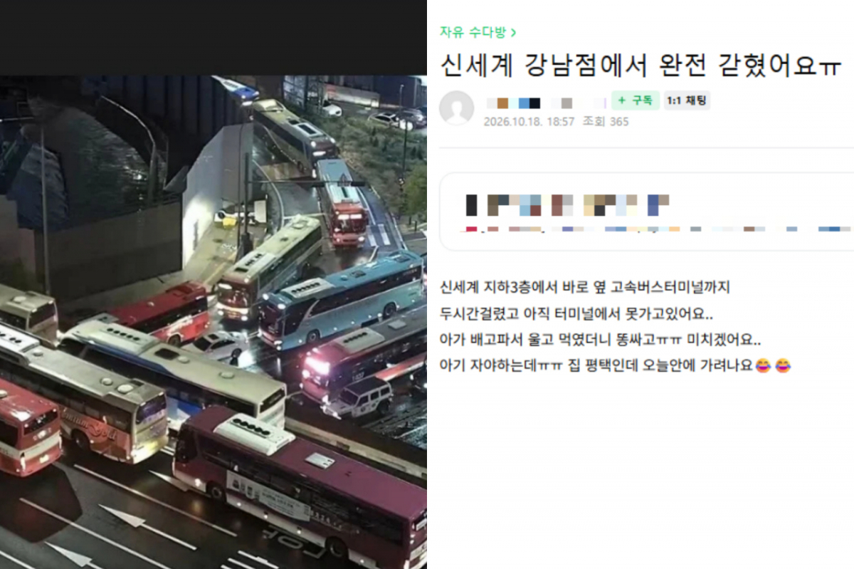 폭우와 주말 인파가 겹치면서 신세계백화점 강남점을 비롯한 서울 서초구 일대에 극심한 교통 정체가 발생해 시민들이 불편을 호소했다. /사진=온라인 커뮤니티 더쿠, 네이버 카페 맘스홀릭 베이비 캡처