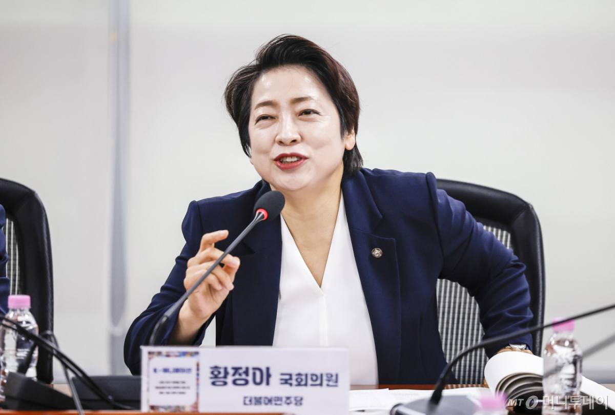 황정아 더불어민주당 의원이 지난 6월 서울 여의도 국회 의원회관에서 열린 K-애니메이션 산업 위기 극복을 위한 방송발전기금 전략적 투입 및 제도 개선 정책 간담회에서 발언하고 있다. /사진=뉴시스