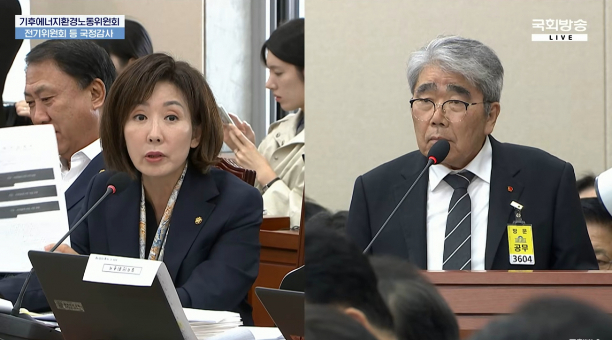 나경원 국민의힘 의원, 하동근 지역난방공사 사장. /사진=국회방송 유튜브 캡처.