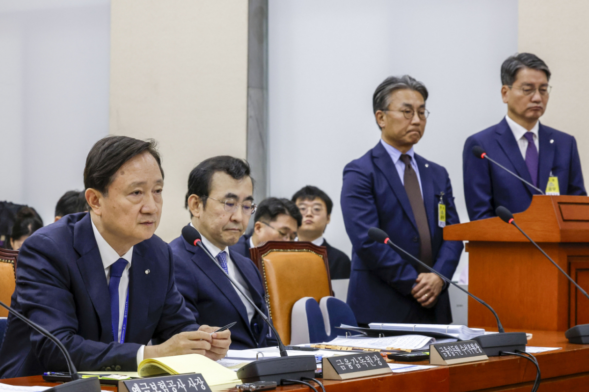 이찬진 금융감독원장이 10월 19일 서울 여의도 국회에서 열린 정무위원회의 금융감독원 등에 대한 국정감사에서 질문에 답하고 있다. 사진=뉴시스