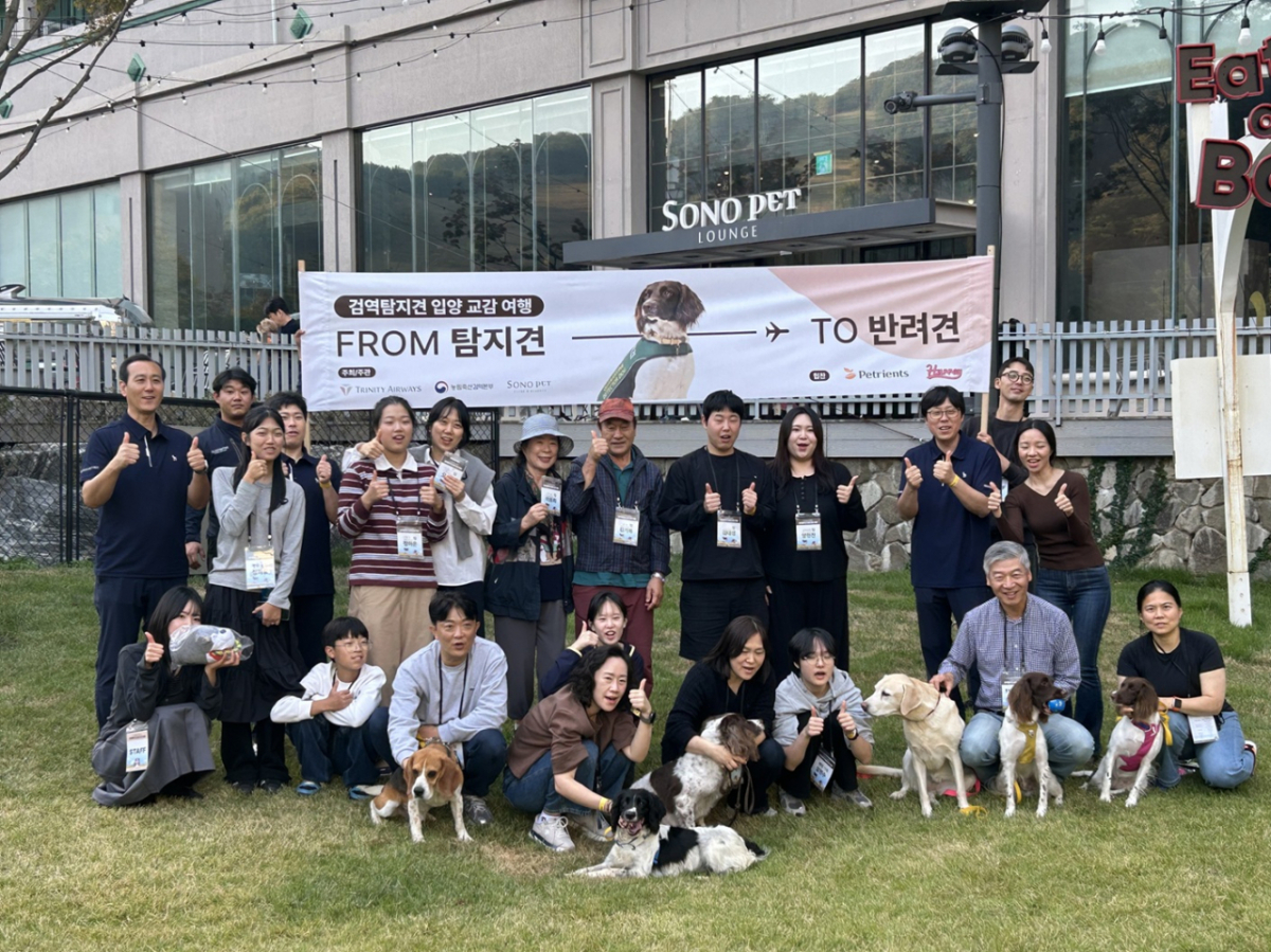 공항 누비던 검역탐지견, 이제 반려견으로…소노펫 '새 가족 찾기'