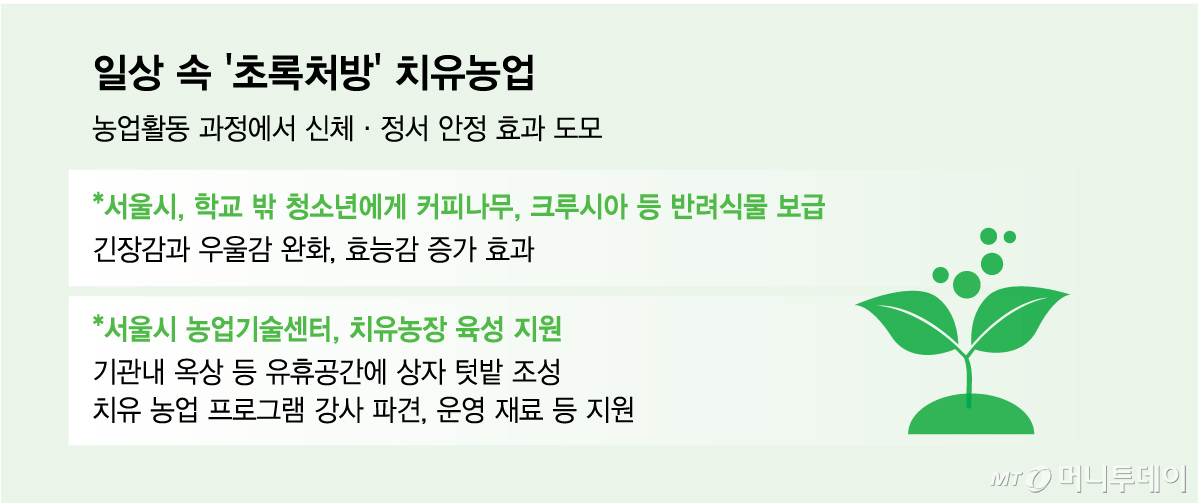 일상 속 '초록처방' 치유농업/그래픽=김다나