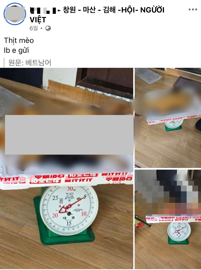 지난 12일 페이스북 '창원-마산-김해-베트남인 그룹'에는 '고양이 고기'(Thịt mèo)라는 글과 사진 여러 장이 게시됐다. 작성자는 '개인 메시지를 주면 보내주겠다'(Ib e gửi)는 취지의 문구도 덧붙였다. /사진=페이스북 캡처