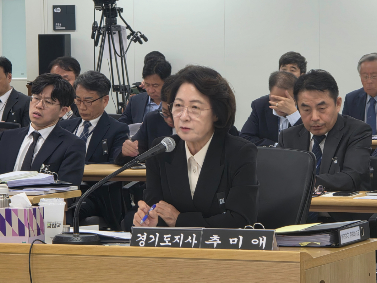 국토부 국정감사에서 발언하고 있는 추미애 경기도지사./사진=이민호기자