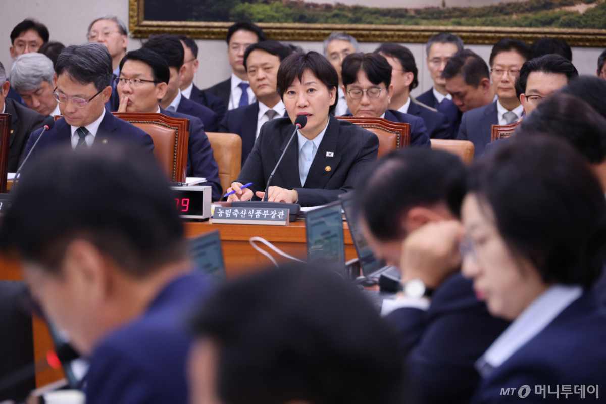 (서울=뉴스1) 신웅수 기자 = 송미령 농림축산식품부 장관이 22일 서울 여의도 국회에서 열린 농림축산식품해양수산위원회의 농림축산식품부 등에 대한 종합감사에서 의원 질의에 답변하고 있다. 2026.10.22/뉴스1 Copyright © 뉴스1. All rights reserved. 무단 전재 및 재배포, AI학습 이용 금지. /사진=(서울=뉴스1) 신웅수 기자