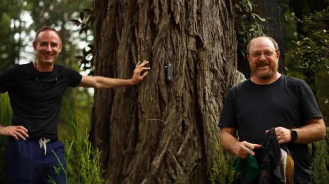 Electric Plant co-founders Lee von Kraus (left) and Justin Mast stand next to a tree equipped with sensors. /Photo=Electric Plant