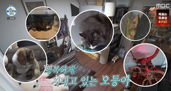 사진=방송 영상 캡처