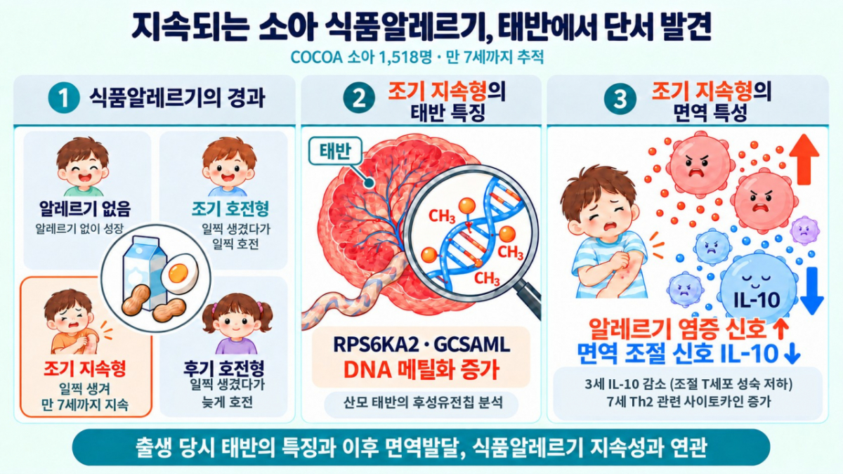 /자료=국립보건연구원