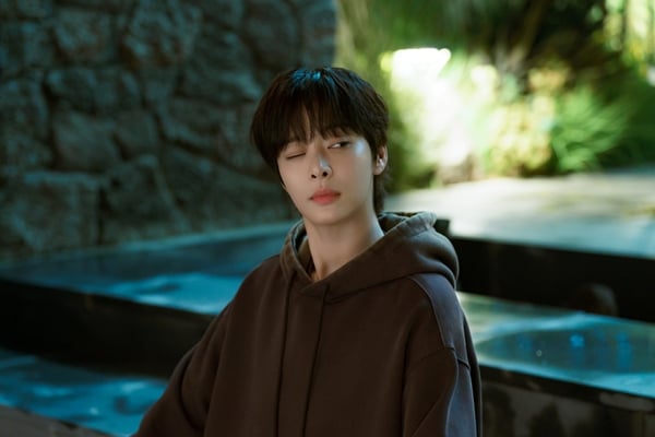 tvN 월화드라마 '나의 유죄인간'./사진=tvN