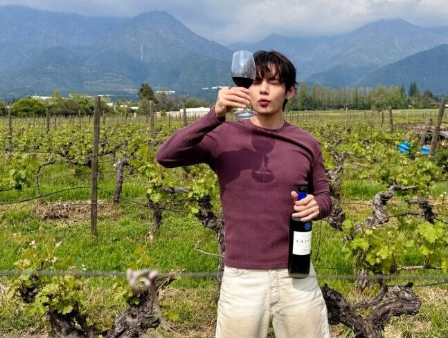 The so-called "V Effect," in which products used or worn by V, a member of the group BTS, in his daily life lead to increased sales, has emerged. This includes Chilean wine that V drank selling out at online retailers both domestically and internationally. /Photo=V's Instagram