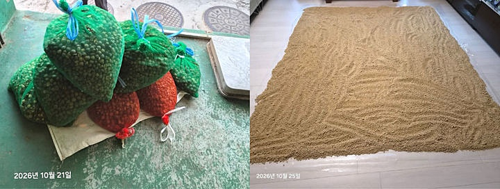 최근 해외에 사는 자녀들에게 보내줄 도토리 가루를 만들기 위해 도토리를 대량으로 주운 한 어머니의 사연이 SNS에 공유됐다./사진=스레드