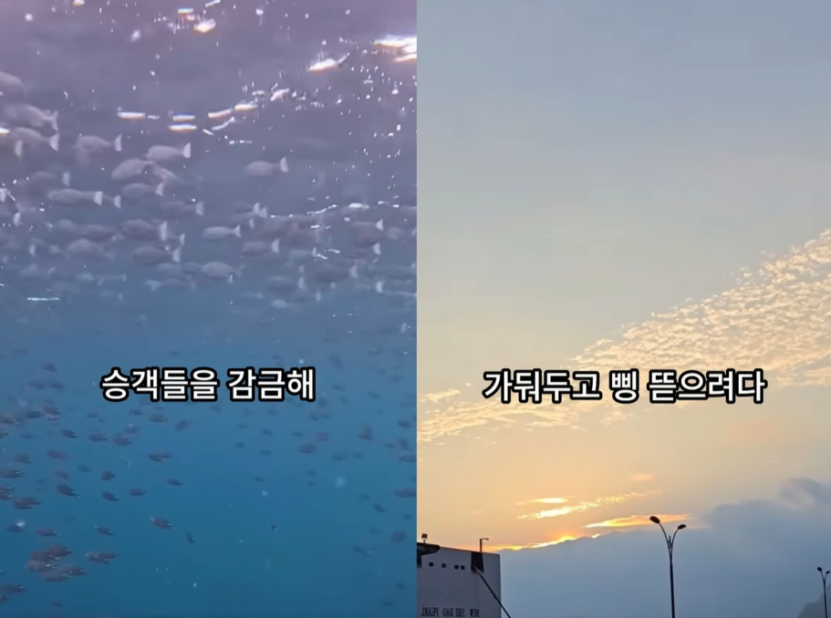 울릉도가 패키지여행 관광객들을 상대로 수십만원어치 특산품을 강매했다는 가짜 영상에 법적 대응을 예고했다. /사진=유튜브 갈무리