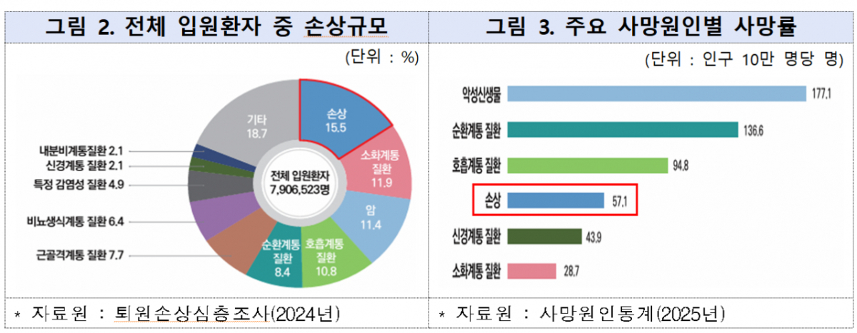 전체 입원환자 중 손상 규모 및 주요 사망원인별 사망률. /사진제공=질병관리청