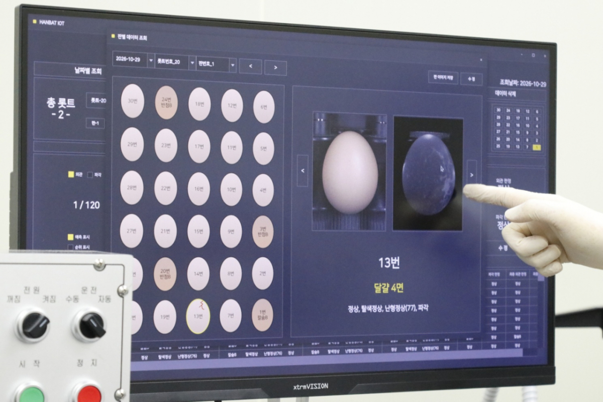 29일 경기 평택시 와이제이푸드에서 시연한 AI 계란 품질평가 장비의 분석 화면. 계란별 외관·파각 판정 결과와 촬영 이미지를 확인할 수 있다. /사진=축산물품질평가원 제공