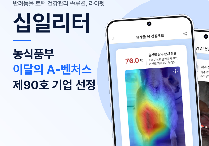 /사진제공=십일리터