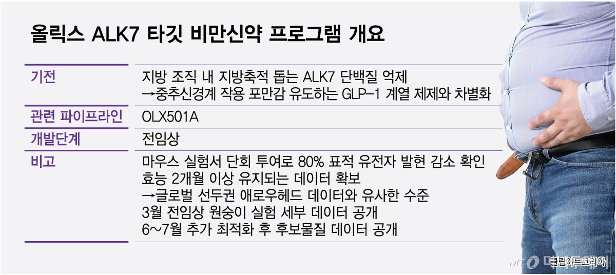 올릭스 ALK7 타깃 비만신약 프로그램 개요/그래픽=최헌정