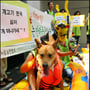 3번째 이미지