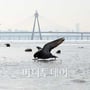 7번째 이미지