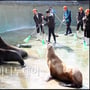 5번째 이미지
