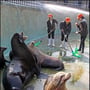 3번째 이미지