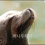 2번째 이미지