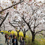 3번째 이미지