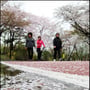 3번째 이미지
