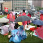 29번째 이미지