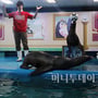 6번째 이미지