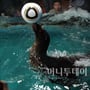 4번째 이미지