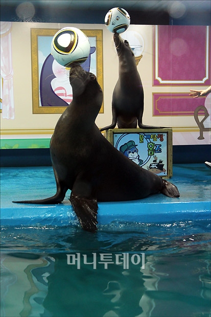 2번째 이미지