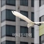 0번째 이미지