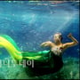7번째 이미지