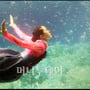 13번째 이미지