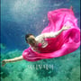 11번째 이미지