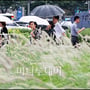 1번째 이미지
