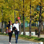 2번째 이미지