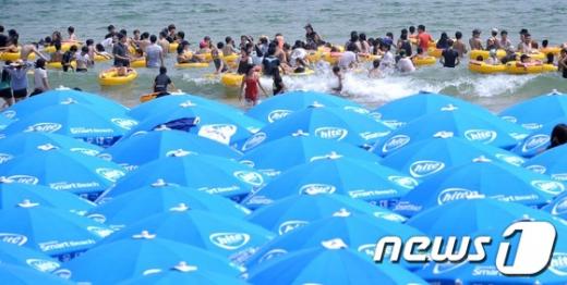 [사진]여름의 끝자락