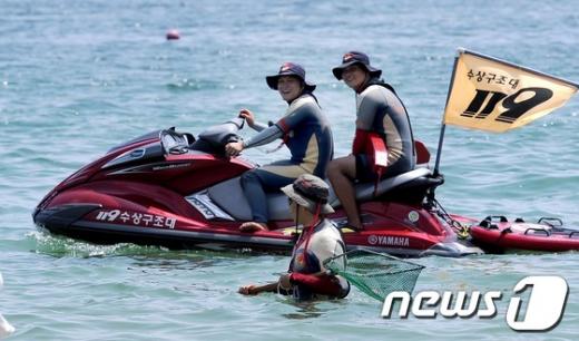 [사진]해파리를 잡아라