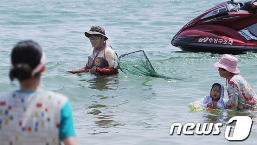 [사진]해파리 수색하는 수상구조대